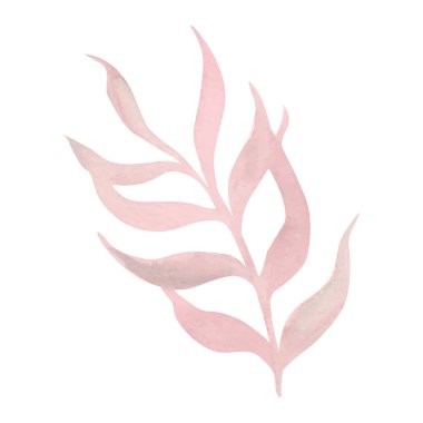 Güzel bir buket suluboya çiçek ve yapraklar. Suluboya çiçek elementi