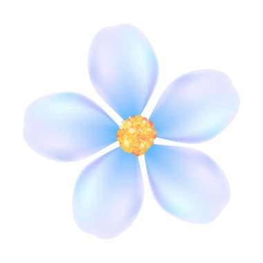 Beyaz arkaplanda gerçekçi kiraz çiçeği çizimi