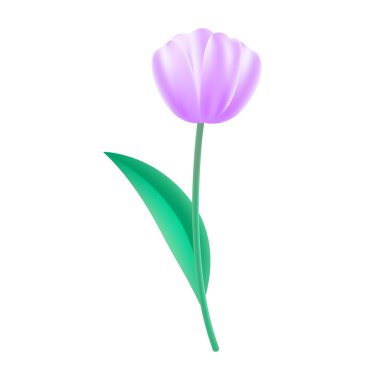 Beyaz arkaplanda gerçekçi kiraz çiçeği çizimi