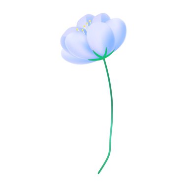 Beyaz arkaplanda gerçekçi kiraz çiçeği çizimi