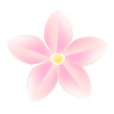 Beyaz arkaplanda gerçekçi kiraz çiçeği çizimi