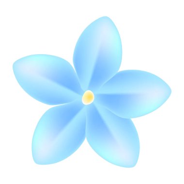 Beyaz arkaplanda gerçekçi kiraz çiçeği çizimi