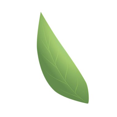 Beyaz bir arkaplanda yaprak yaprakları izole edilmiş.