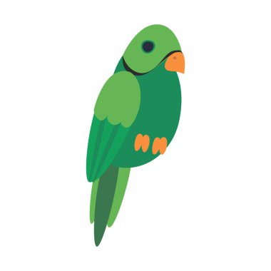 Beyaz üzerine el çizilmiş egzotik kuş.