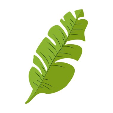 Beyazda tek renkli tropik yapraklar