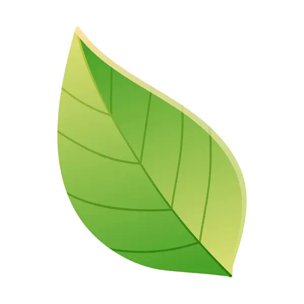 Yaprak doğa yaprak ikonu beyaz arkaplanda izole