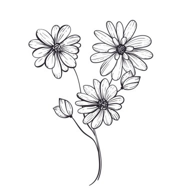 Elle çizilmiş basit çiçek çizimi beyaz bir resimde