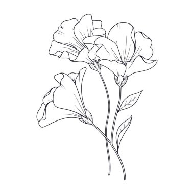 El çizimi basit çiçek ana hatları