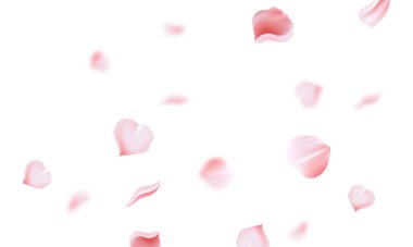 Beyaz arka plan dizaynı üzerinde uçan Sakura yaprakları