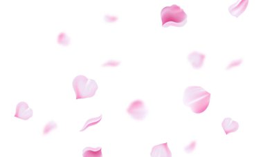 Beyaz arka plan dizaynı üzerinde uçan Sakura yaprakları