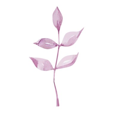 beyaz üzerine suluboya ile boyanmış çiçekler