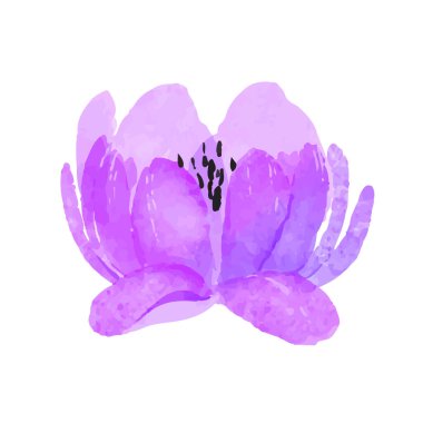 beyaz üzerine suluboya ile boyanmış çiçekler