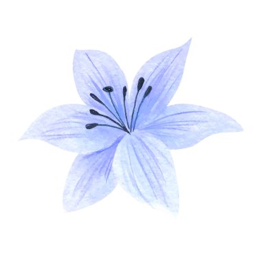 beyaz üzerine suluboya ile boyanmış çiçekler