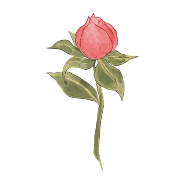 beyaz üzerine suluboya ile boyanmış çiçekler