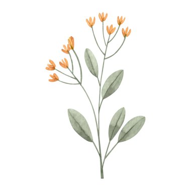 beyaz üzerine suluboya ile boyanmış çiçekler