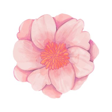 beyaz üzerine suluboya ile boyanmış çiçekler