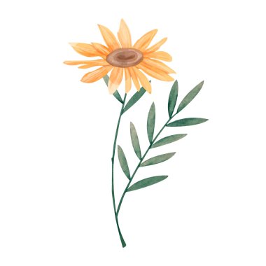 beyaz üzerine suluboya ile boyanmış çiçekler