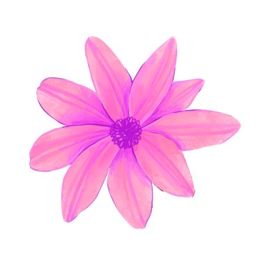 beyaz üzerine suluboya ile boyanmış çiçekler