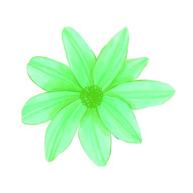 beyaz üzerine suluboya ile boyanmış çiçekler