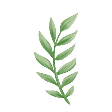 beyaz üzerine suluboya ile boyanmış çiçekler