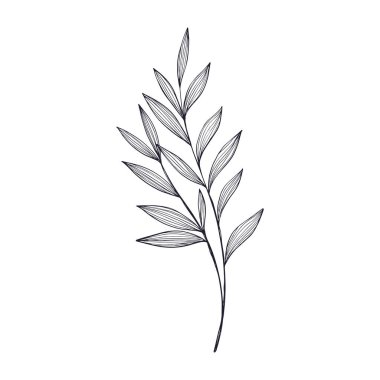 yapraklı ve çiçekli dallar