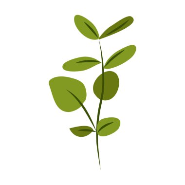 Beyaz arka planda açan bahar çiçekleri