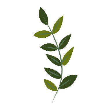 Beyaz arka planda açan bahar çiçekleri