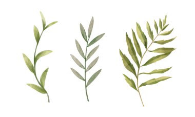 Beyaz renge boyanmış suluboya çiçekler.