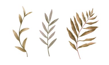 Beyaz renge boyanmış suluboya çiçekler.