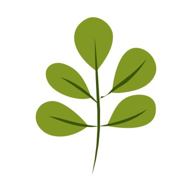 Beyaz arka planda açan bahar çiçekleri