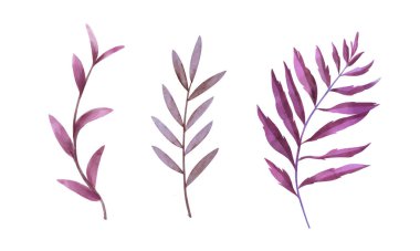 Beyaz renge boyanmış suluboya çiçekler.