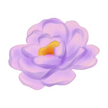  beyaz üzerine suluboya ile boyanmış çiçekler