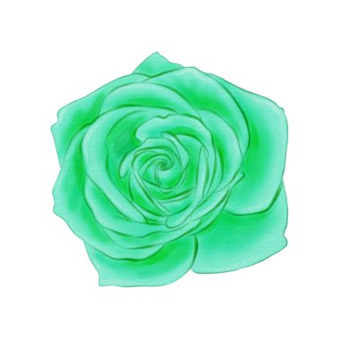  beyaz üzerine suluboya ile boyanmış çiçekler