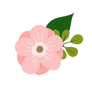 Beyaz arkaplanda çiçek bahçesi dekorasyonu