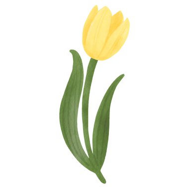 beyaz üzerine suluboya ile boyanmış çiçekler