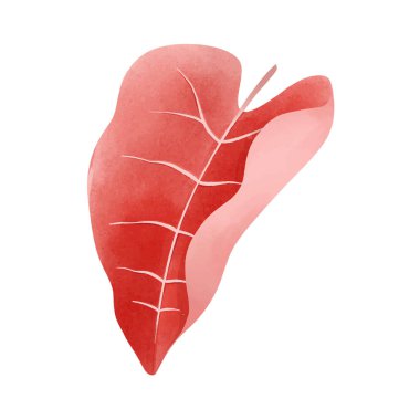 Suluboya gerçekçi tek renkli tropik yaprak tasarımı