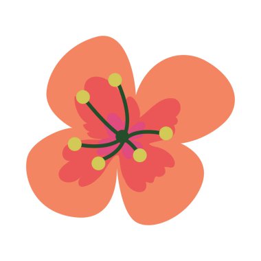 El çizimi bahar çiçeği, renkli bahar çiçeği.