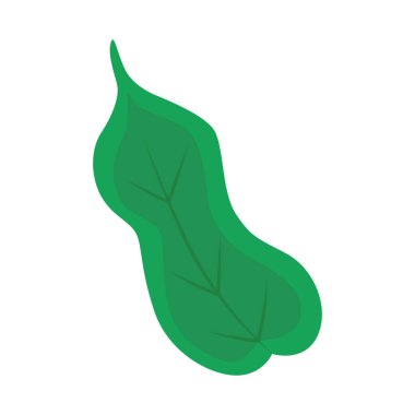 Çizgi film tarzında yeşil yapraklar beyaz üzerine izole edilmiş