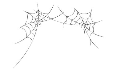 Beyaz arkaplanda el çizimi örümcekler ağı