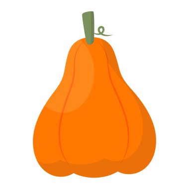 Beyaz arka planda balkabağı sağlıklı yiyecekler