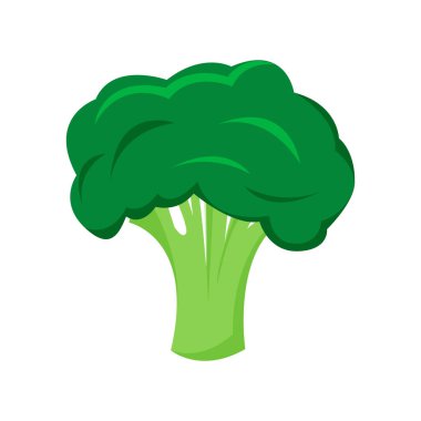 Beyaz üzerine taze brokoli sebze illüstrasyonu