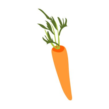 Carrot vegetable icon isolated white background