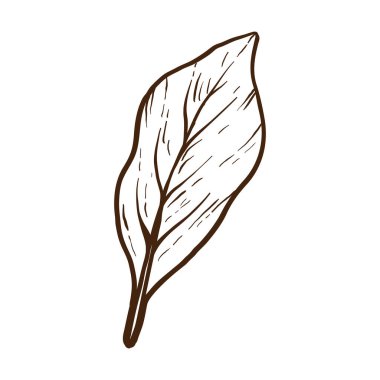 El çizimi otlar ve çiçekler beyaz bir renge çizilmiş.