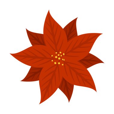 El çizimi Noel çiçeği ve çelengi, Noel çiçekleri, süs