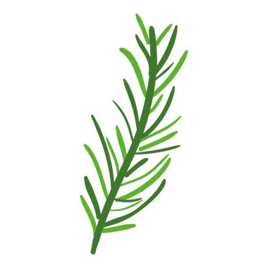 Tropikal botanik palmiye beyaz arkaplanda resim bırakır