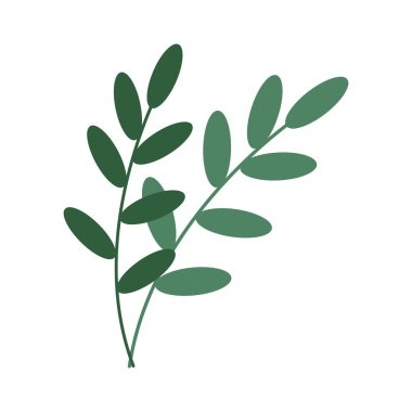 Beyaz arka planda bitkisel element dekoratif dal çiçek yeşilliği