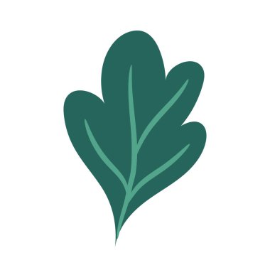 Beyaz arka planda bitkisel element dekoratif dal çiçek yeşilliği