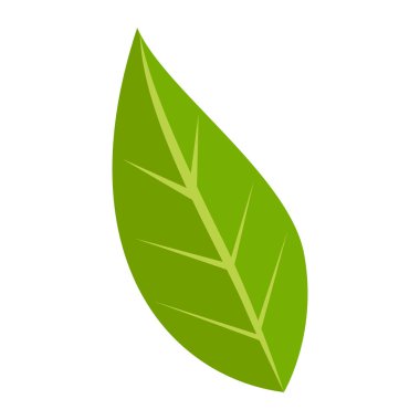 Botanik element Dekoratif beyaz çiçek illüstrasyonuName