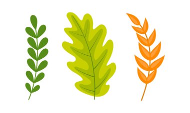 El çizimi renkli yapraklar koleksiyonu