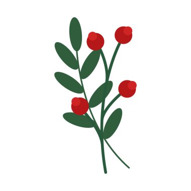 Yılbaşı Noel 'inde yapraklar ve meyveler.